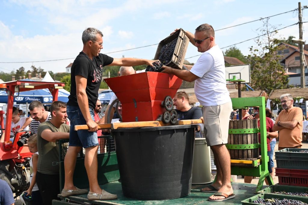 завршени-двадесетосми-баношторски-дани-грожђа