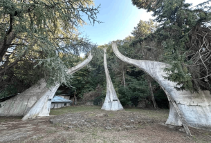 oбележен-дан-месне-заједнице