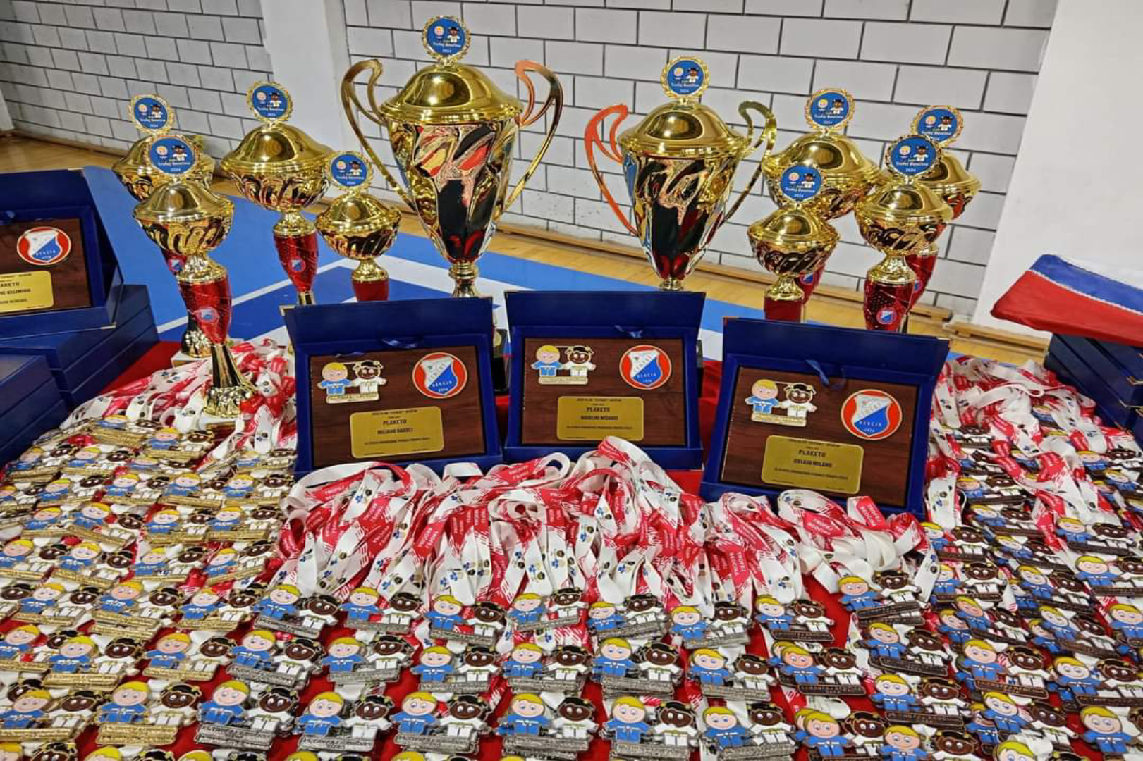 међународни-турнир-у-џудоу