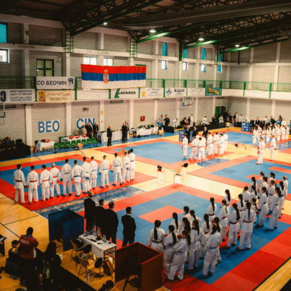 У Беочину одржан 18. међународни карате турнир Дунав куп