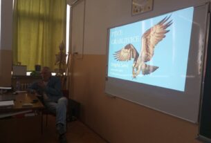 ptice-grabljivice-jgm